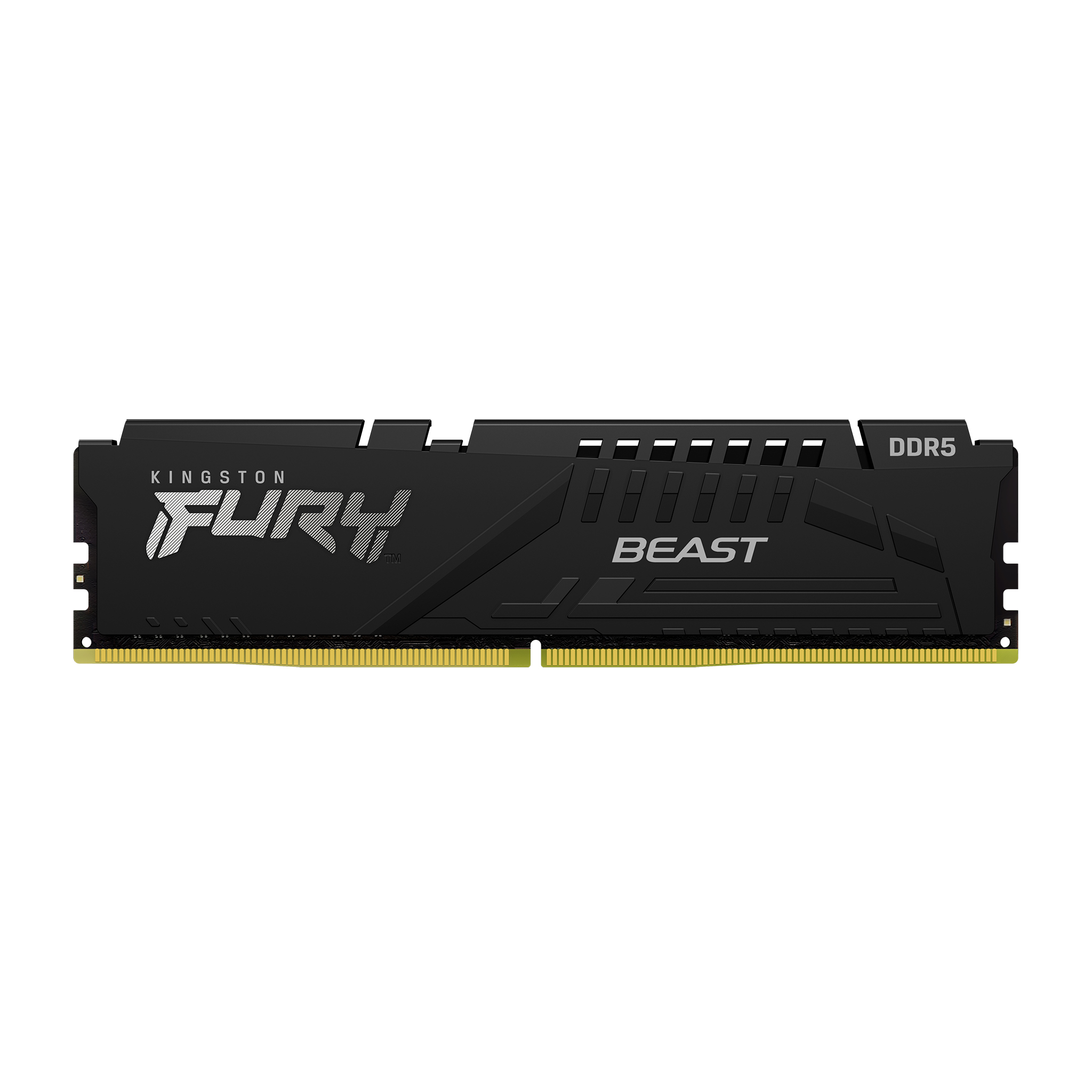 Kingston FURY Beast product family image