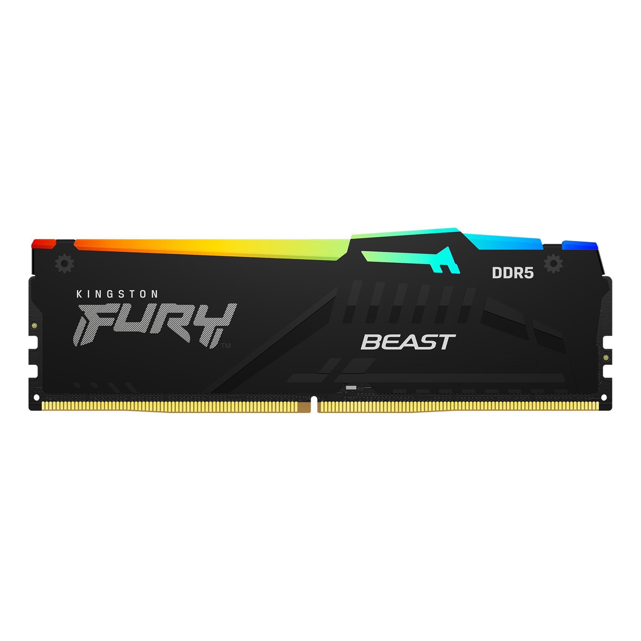 Kingston FURY Beast RGB product family image