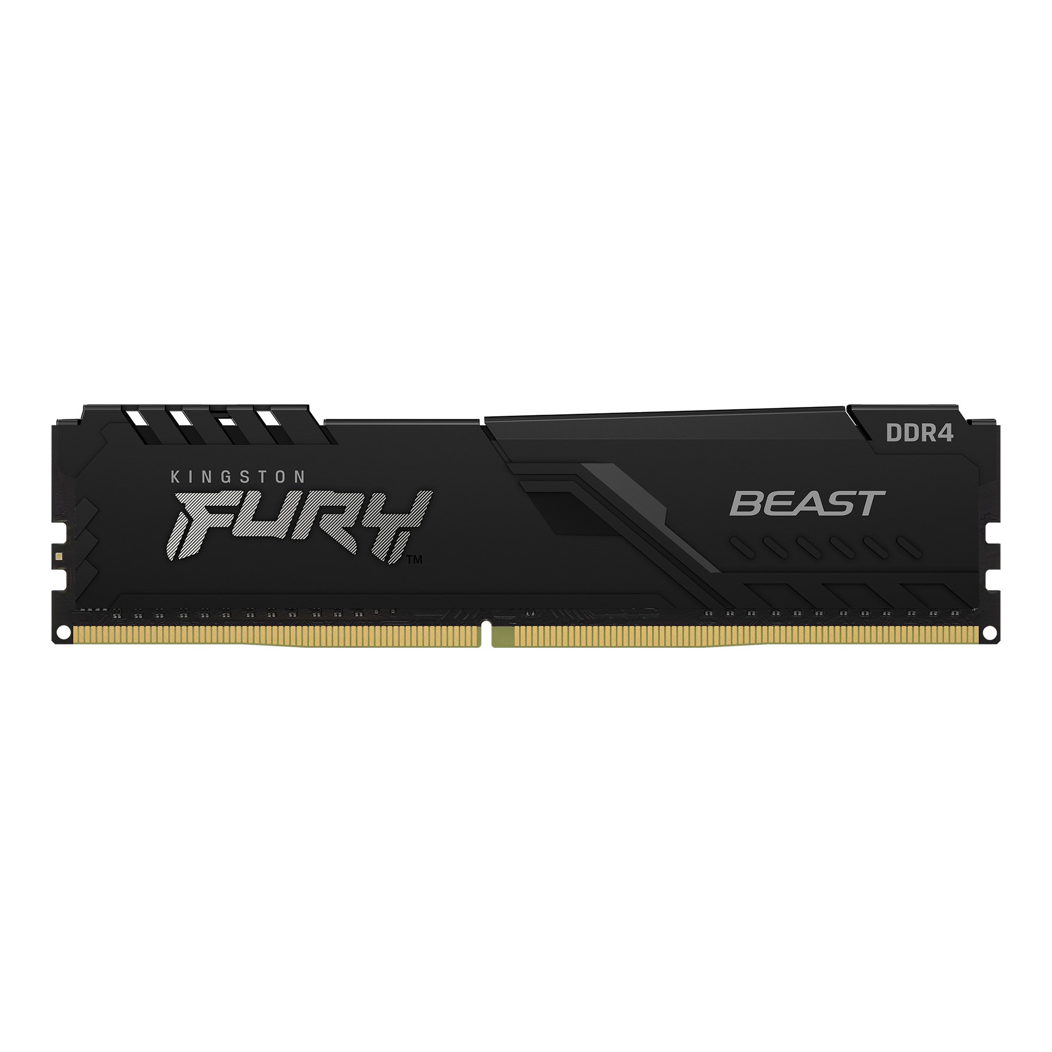 Kingston FURY Beast product family image